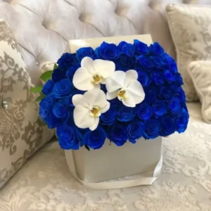 Floristería Premium Bucaramanga