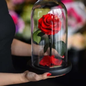 Floristería Premium Bucaramanga