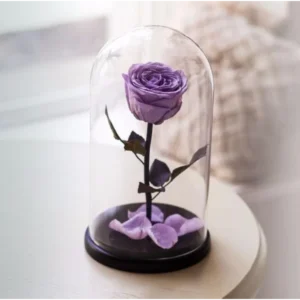 Floristería Premium Bucaramanga