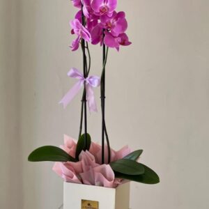 Floristería Premium Bucaramanga