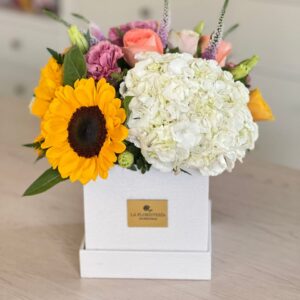 Floristería Premium Bucaramanga