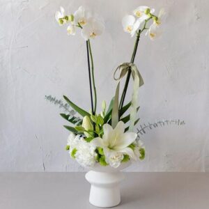 Floristería Premium Bucaramanga